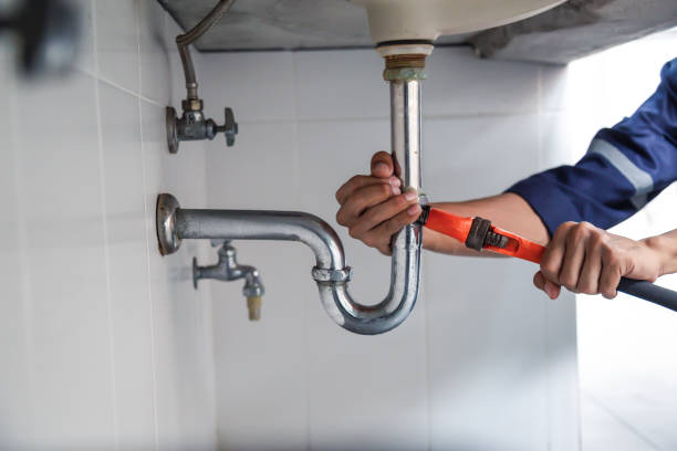 Best Plumbing Inspection Services  in Somerville, NJ